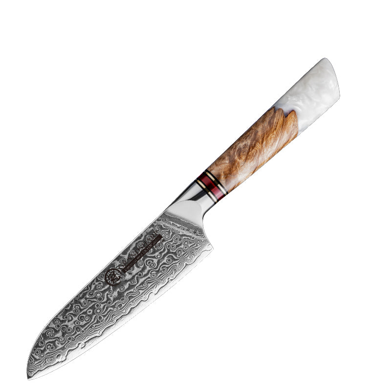 Bergenhof: Fjord 4-Piece Damascus Kitchen Knife Set