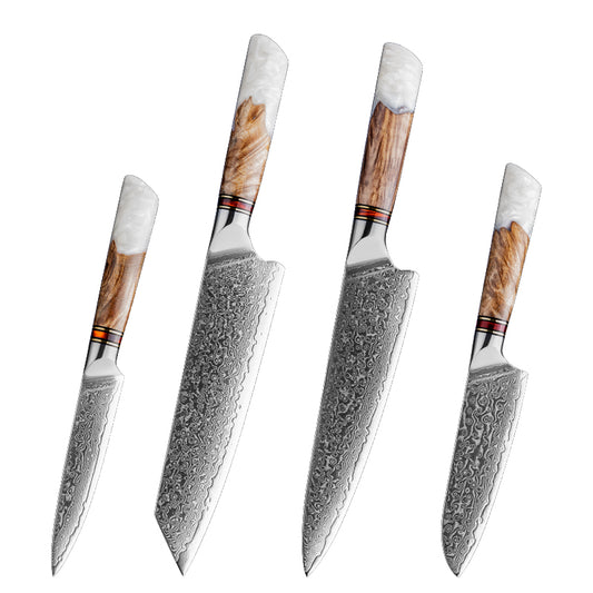 Bergenhof: Fjord 4-Piece Damascus Kitchen Knife Set