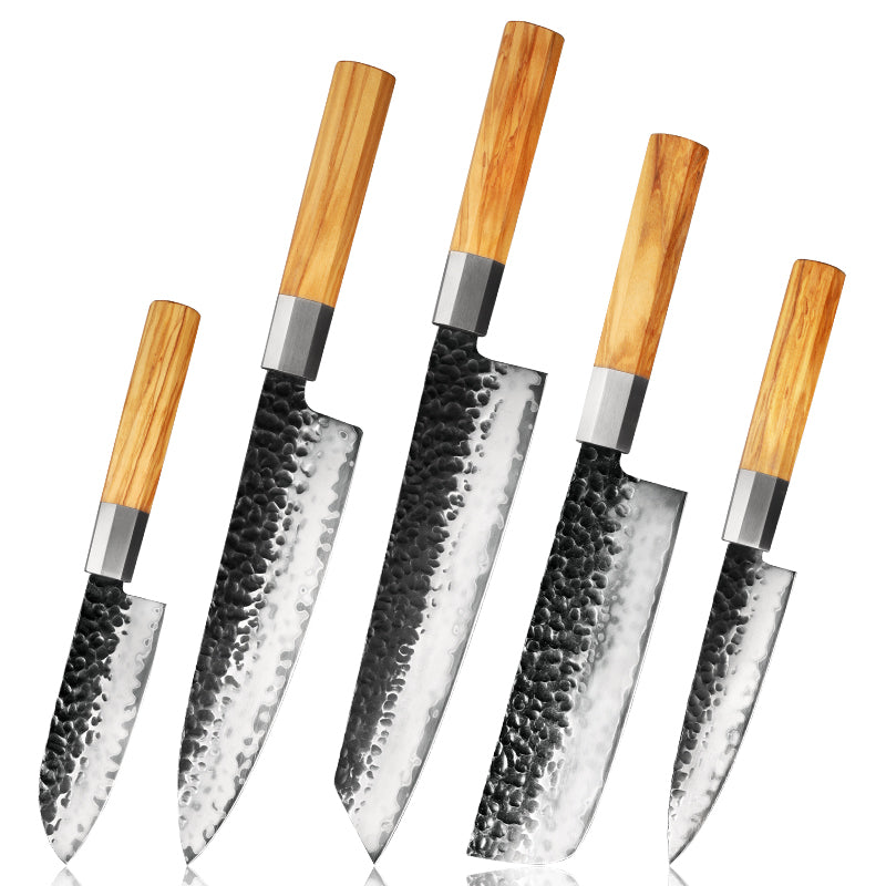 Bergenhof: Kenji 5-Piece Japanese AUS10 Damascus Kitchen Knife Set